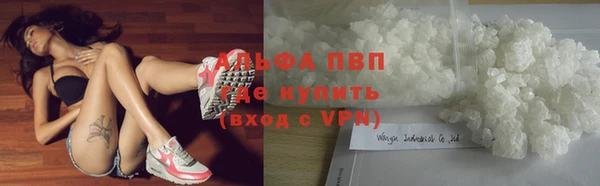 трава Аркадак