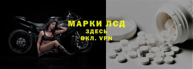 трава Аркадак