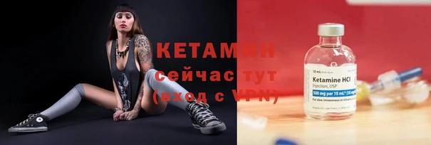 трава Аркадак