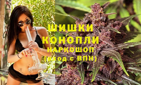 трава Аркадак