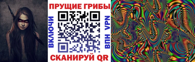 Галлюциногенные грибы ЛСД  сколько стоит  Городище 